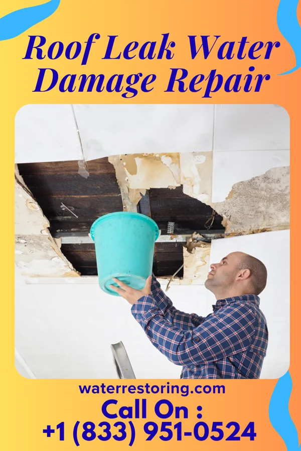Roof Leak Water Damage Repair in Central Valley, UT